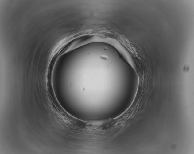 X0000095910340200801111237