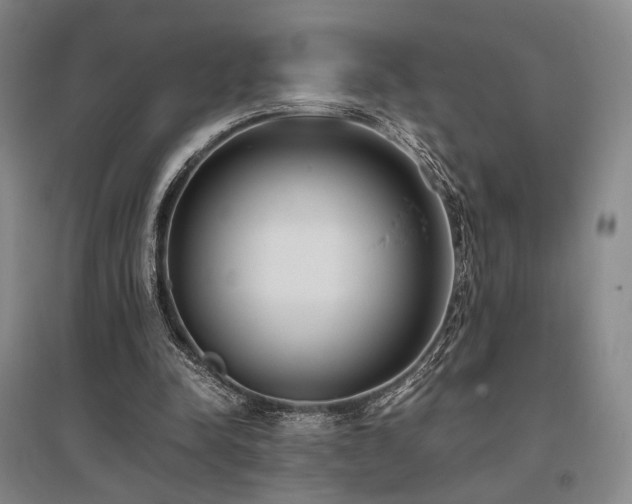 X0000095910342200801111237