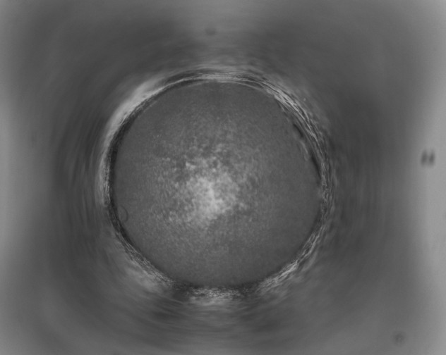 X0000095910343200801111237