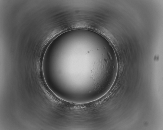 X0000095910345200801111237