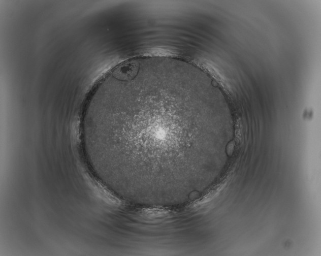 X0000095910351200801111237