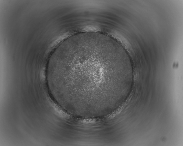 X0000095910353200801111237