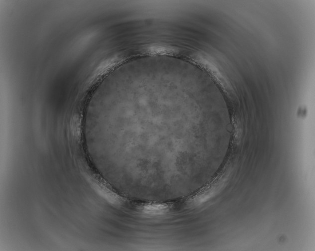 X0000095910357200801111237