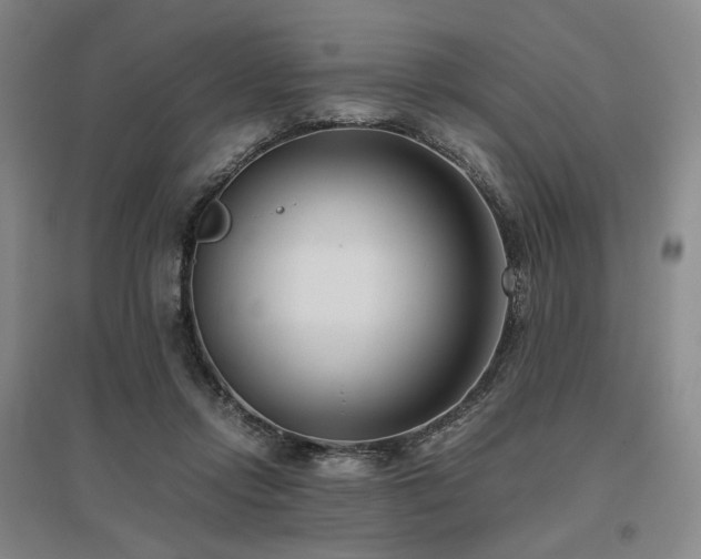 X0000095910358200801111237