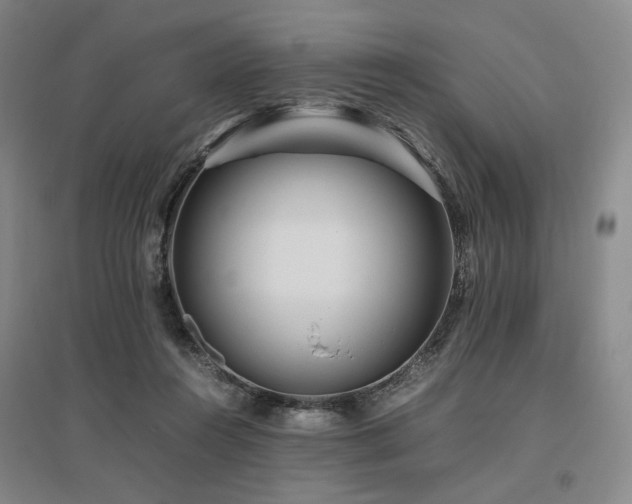 X0000095910360200801111237