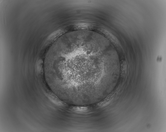 X0000095910361200801111237