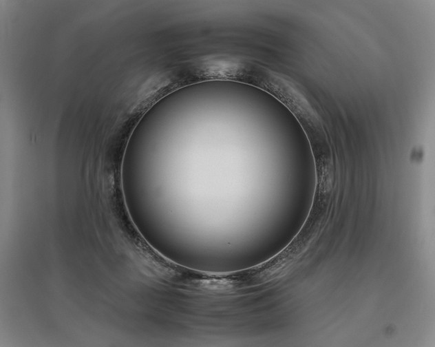 X0000095910363200801111237