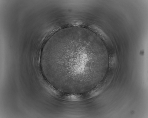 X0000095910365200801111237