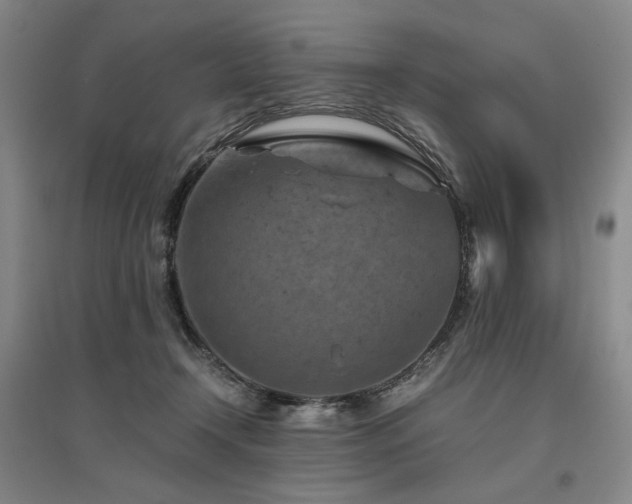 X0000095910366200801111237