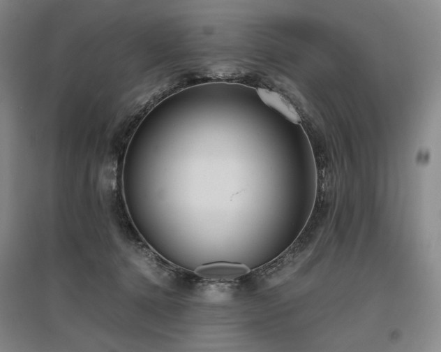 X0000095910368200801111237