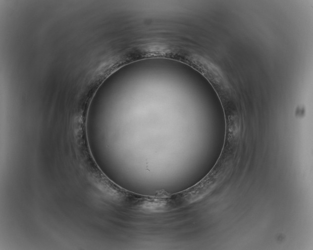 X0000095910369200801111237