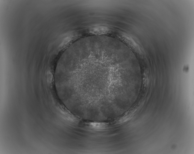 X0000095910371200801111237