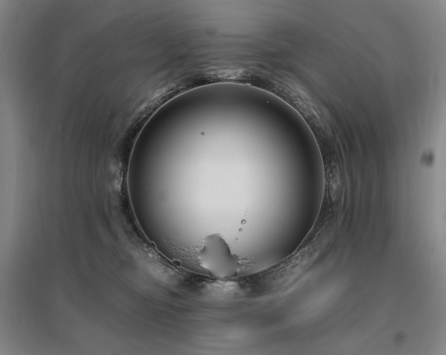 X0000095910374200801111237