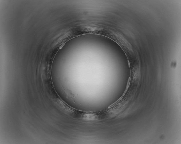 X0000095910376200801111237