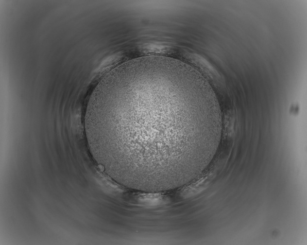 X0000095910377200801111237