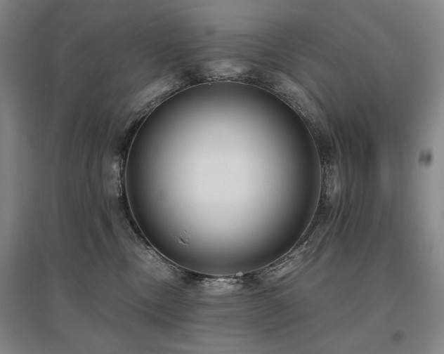X0000095910378200801111237