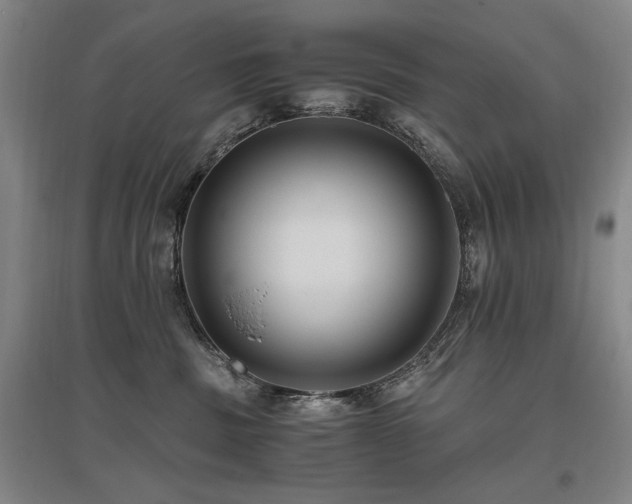 X0000095910379200801111237