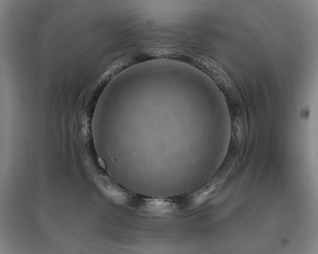 X0000095910380200801111237