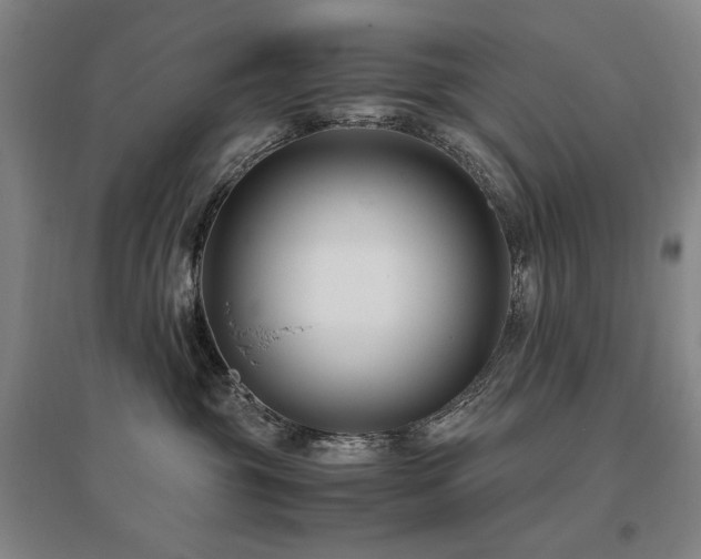 X0000095910381200801111237