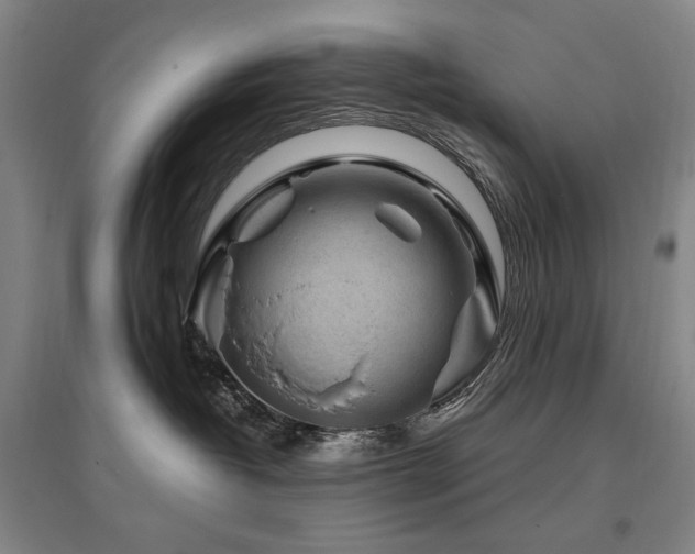 X0000095910382200801111237