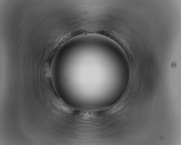 X0000095910384200801111237