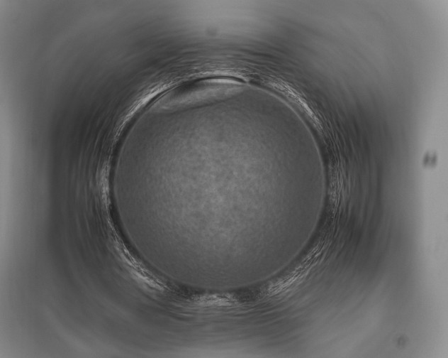 X0000095910386200801111237