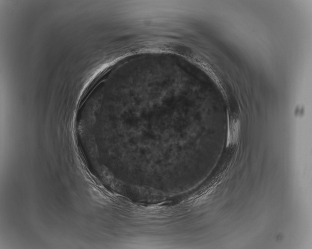 X0000095910387200801111237