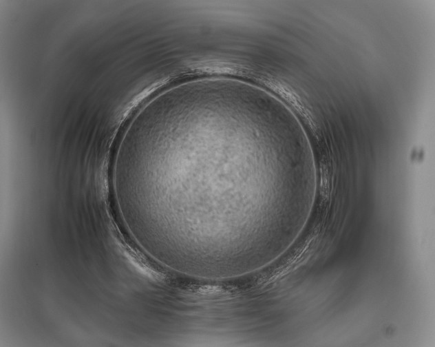 X0000095910390200801111237