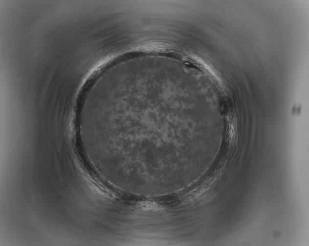 X0000095910392200801111237