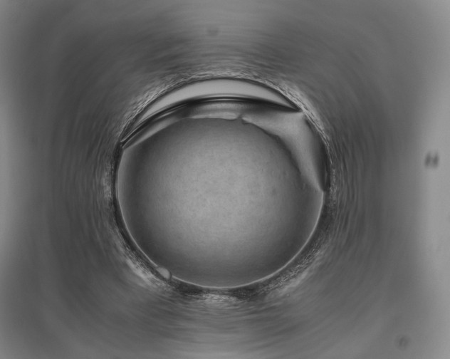 X0000095910393200801111237