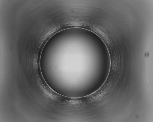 X0000095910394200801111237