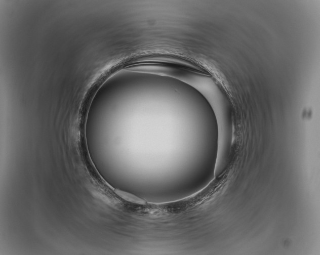 X0000095910395200801111237