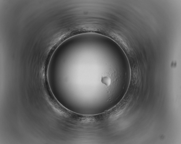 X0000095910398200801111237