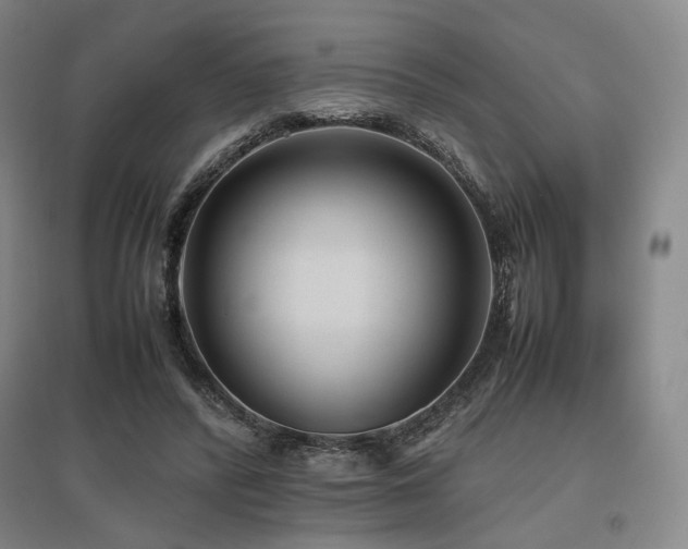 X0000095910400200801111237