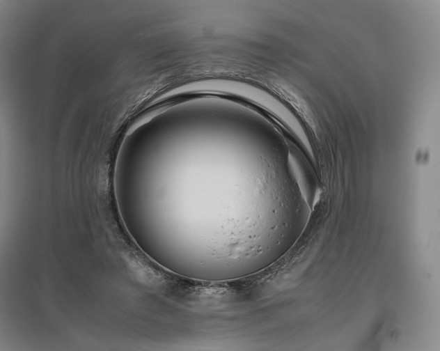 X0000095910401200801111237