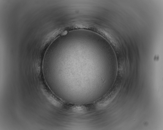 X0000095910402200801111237