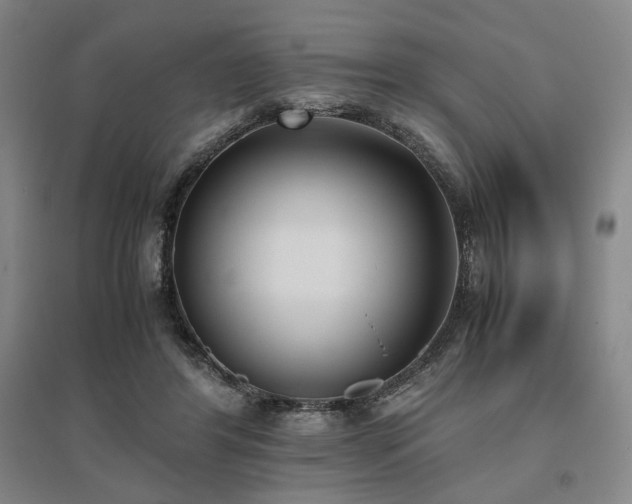 X0000095910404200801111237