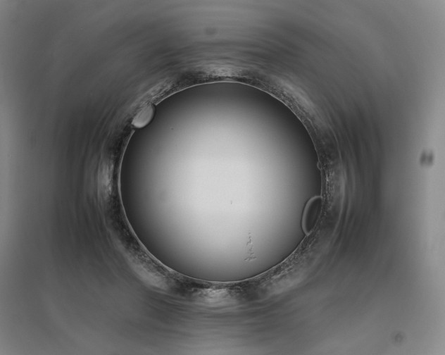 X0000095910406200801111236