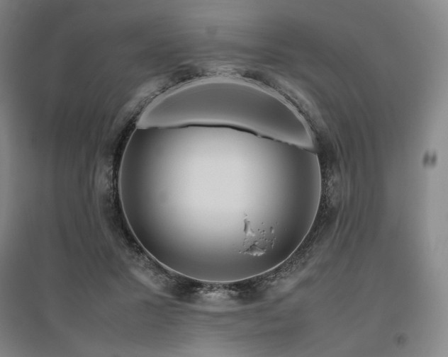 X0000095910407200801111236