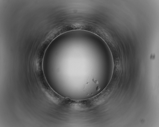 X0000095910408200801111236