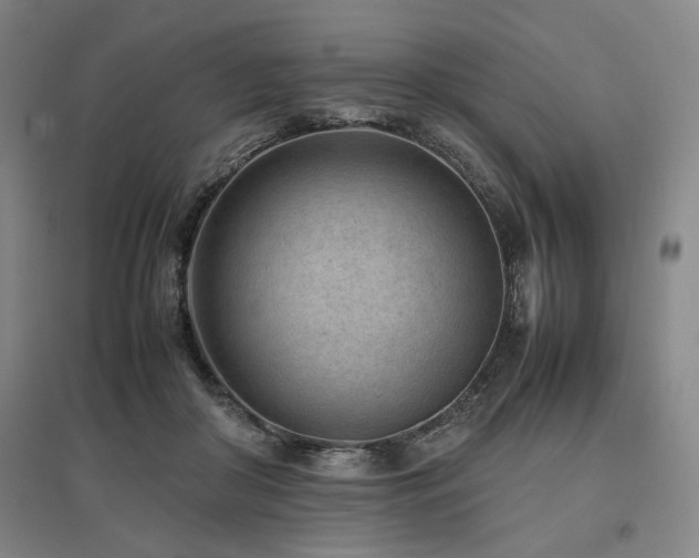 X0000095910410200801111236