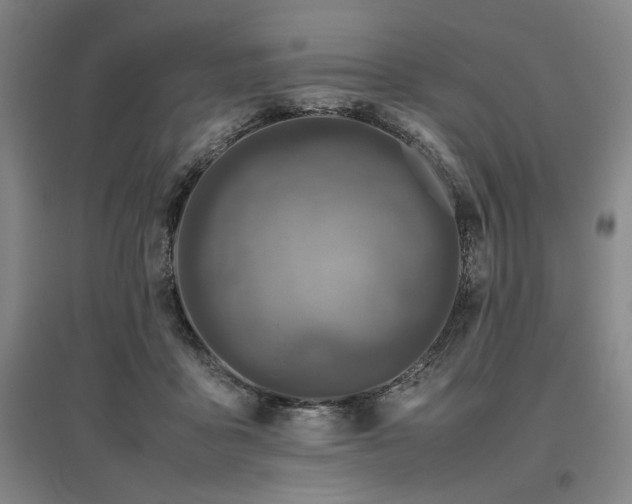 X0000095910411200801111236