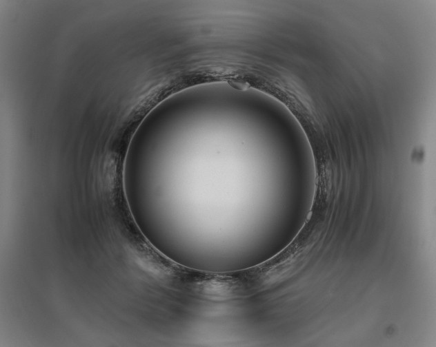 X0000095910412200801111236