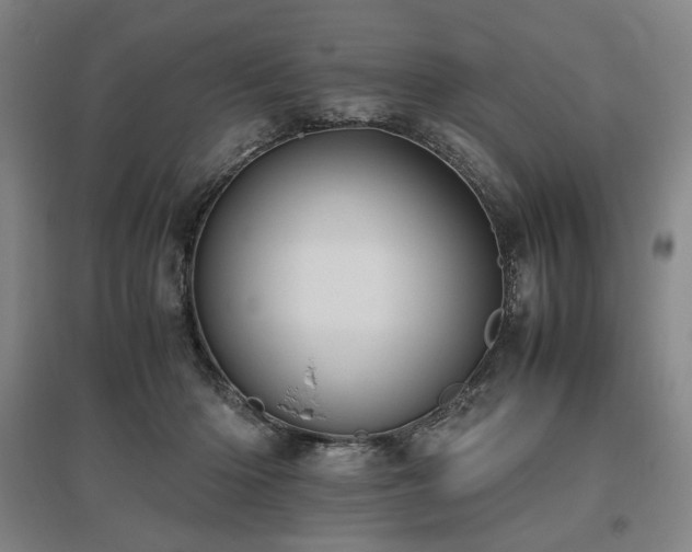 X0000095910414200801111236