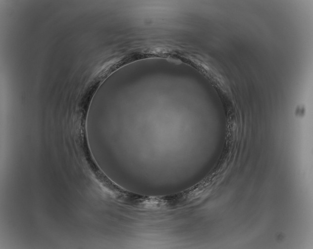 X0000095910415200801111236