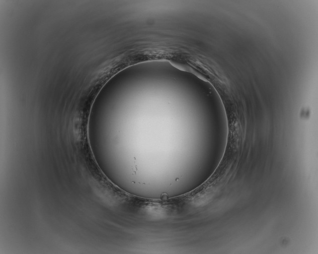 X0000095910416200801111236