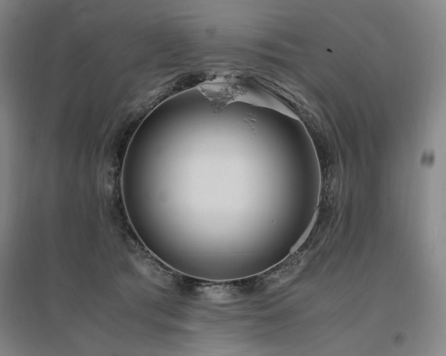 X0000095910417200801111236