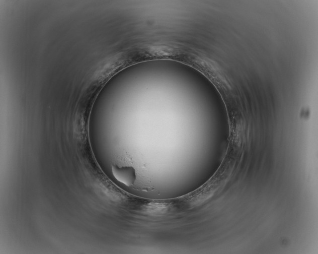 X0000095910418200801111236