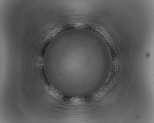 X0000095910419200801111236