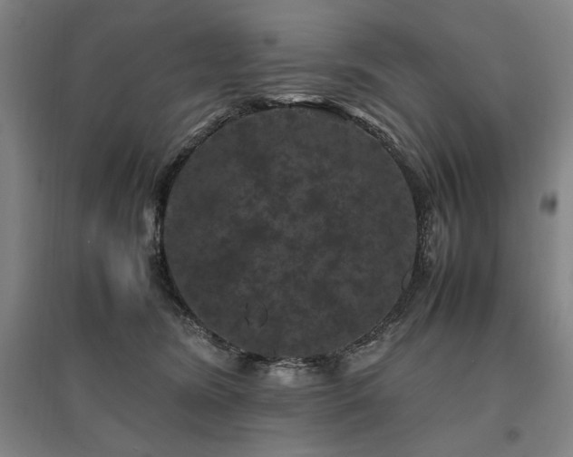 X0000095910420200801111236